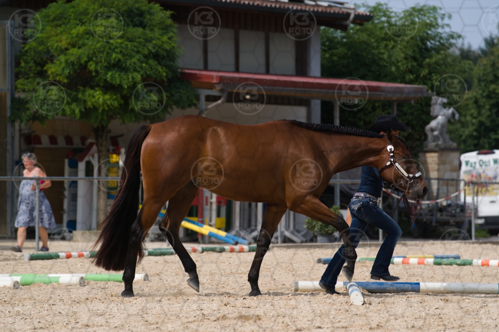 s_batch_A9_00098.jpg